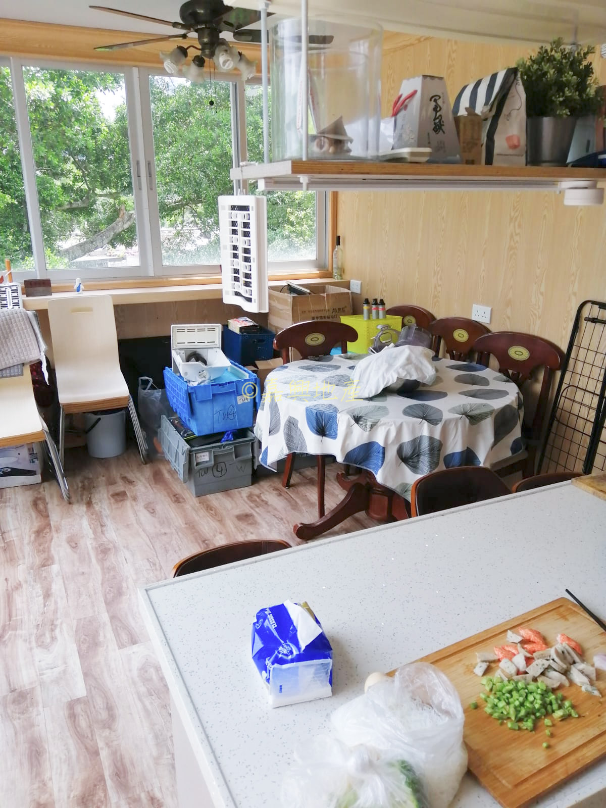 [村屋小法寶] 對付村屋蚊蟲有辨法！16招教你輕鬆趕走佢地！